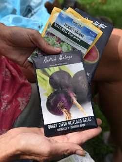 Karin Eller, owner of Plant-It Earth Greenhouse near Homer City, holds seed packets of plants that will planted for the fall and winter garden.