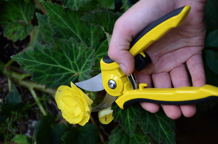 Dramm ColorPoint pruners are one of the favorite gifts for gardeners of Tribune-Review home and garden editor Doug Oster.