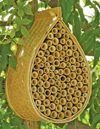 The Mason Bee House from the Gardener's Supply Company is a place for the native pollinator to live and would make a great holiday gift.
