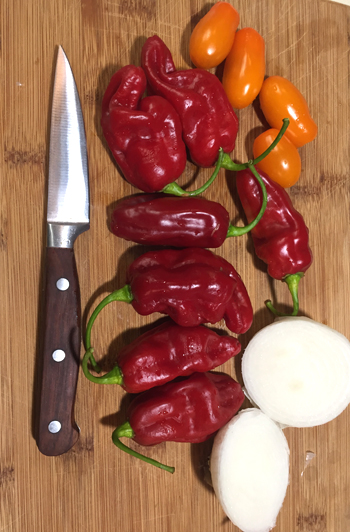 'Roulette' is a habanaro pepper without the heat. This AAS winner is just one of the interesting varieties that are new this season.