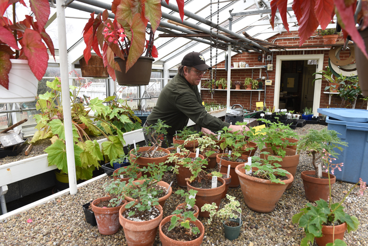 Dean Sylvester is historical horticulturalist at Old Economy Village in Ambridge.
