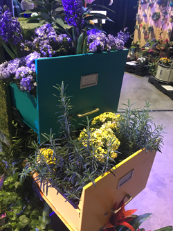 Filing cabinets act as planters in the Bidwell Training Center display at the Duquesne Light Home and Garden Show. This is in the downstairs display which celebrates the 50th anniversary of Bidwell.