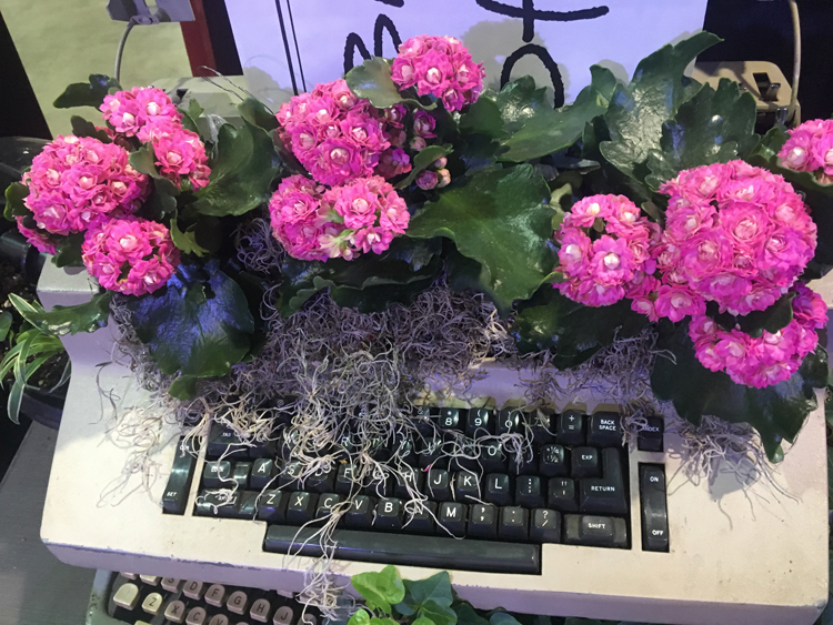 A IBM Selectric is transformed is planted with pretty double pink flowers in the Bidwell Training Center display at the Duquesne Light Home and Garden Show. This is in the downstairs display which celebrates the 50th anniversary of Bidwell.