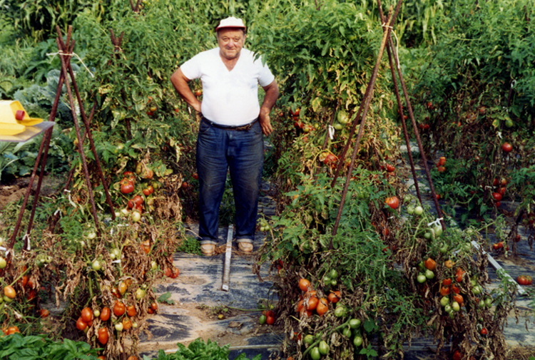 The late Frank "Punzo" Panichella poses in his Jeannette garden. This week's story for Everybody Gardens explores his special relationship with John Wassel.
