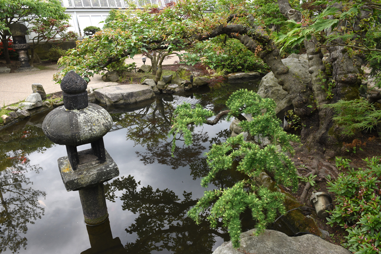 Trees are reflected in the pond at the Japanese Courtyard Garden at Phipps Conservatory and Botanical Gardens. Japanese landscape designer Hoichi Kurisu designed the garden in 1991 and then recently returned to tweak the garden with his team.