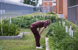 An inmate looks over the garden at SCI Cambridge Springs.