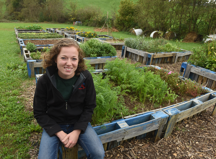 Morgan Livingston is agricultural innovations manager at the Greater Washington County Food Bank. She looks over the raised beds at the garden behind the food bank. Over 450 pounds of produce came out of the garden for clients.