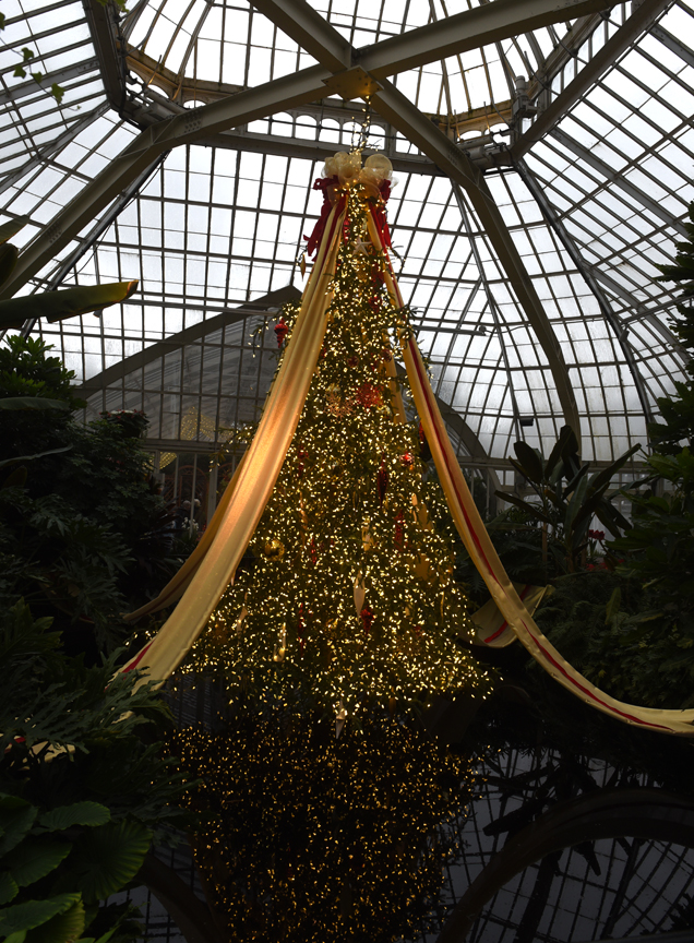 Phipps' Winter Flower Show should be explored at a relaxed pace to reveal the attention to detail.