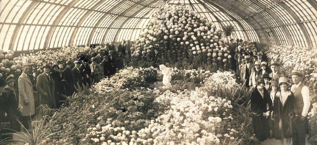 The Fall Flower Show at Phipps in 1929.