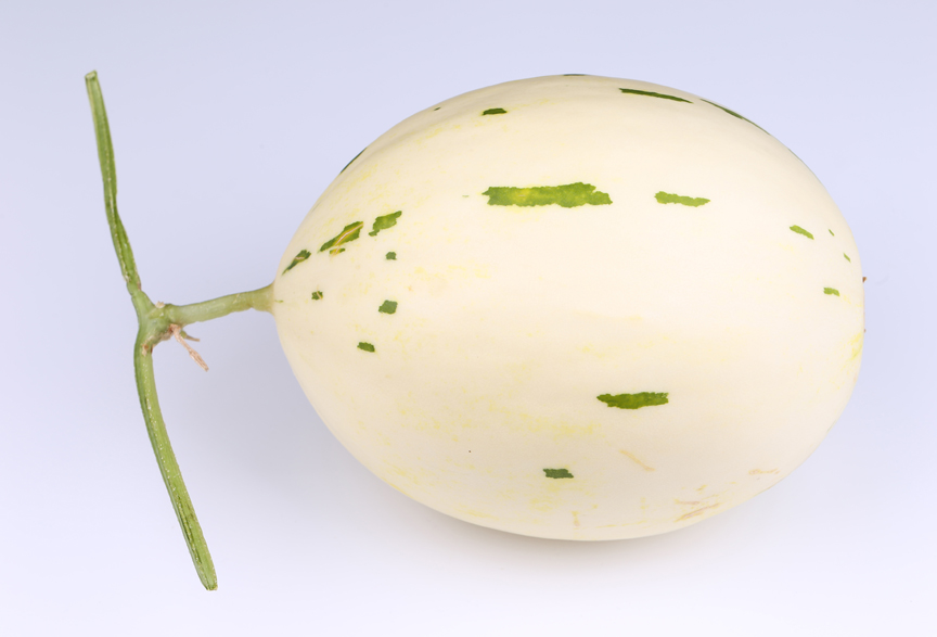 Melon 'Orange SilverWave' is a 2019 All-America Selection. This unique melon has a beautiful color, with flesh resembling a cantaloupe, but taste of a honeydew.
