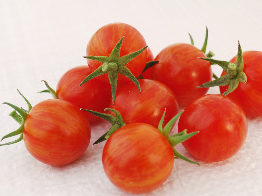 'Sparky' is a 2019 All-America Selection. This small tomato is prolific, beautiful and tasty.