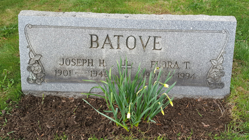 Barbara and Chuck Batove have planted daffodils at their family's cemeteries. The bulbs are chosen for the date they were introduces which matches the date the family member was born. These are Chuck's grandparents at Independence Cemetery in Washington County.