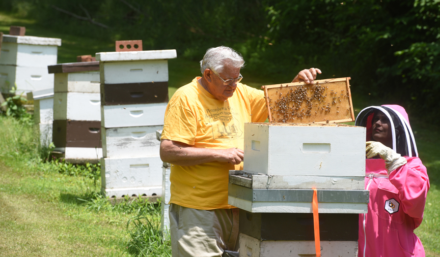 Michelle Wright, WTAE-TV anchor and beekeeper (right) inspects a frame of bees with Jim Fitzroy at his home. The two are working for The Best Bees Company, caring for bee hives on top of buildings in Pittsburgh.
