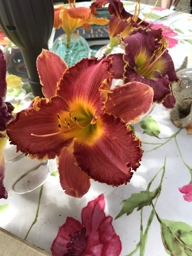 Sarah and Steve Zolock have introduced over 165 named varieties of daylily and more than 50 new hostas. The couple has gardened at their Rostraver home for decades but are getting ready to sell and downsize. These are some of the flowers they had on display for visitors to the garden.