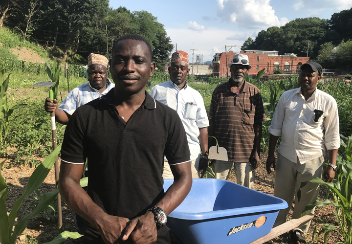 Abdulkadir Chirambo (front) is president of the United Somali Bantu of Greater Pittsburgh. The group has transformed a three quarter acre area that was formally vacant city lots into a garden farm located in Pittsburgh's Perry Hilltop neighborhood. Behind him are the elders that have taught the younger members how to garden and farm the land.