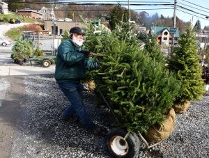 Dwayne Evans is owner and manager of Best Feeds Garden Center on Babcock Blvd. in Ross. He recommends that people tree using a live tree for their holidays.