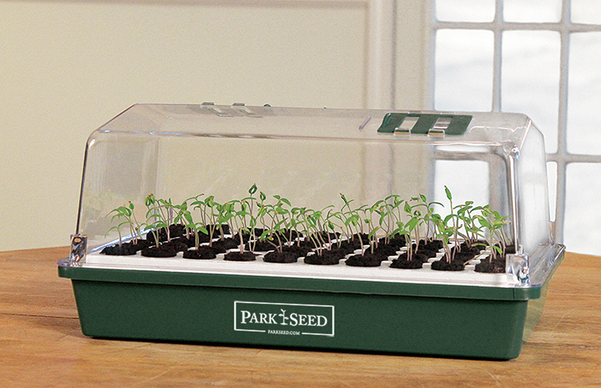 The Bio Dome system from Park Seed makes indoor seed starting easy.