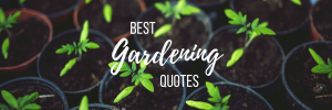 best gardening quotes