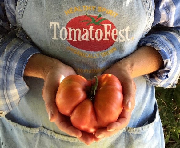 'Marianna's Peace' is an heirloom tomato that holds a special place in the heart of author Gary Ibsen.