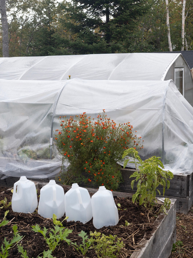 Niki Jabbour is an expert at growing plants year round even in Nova Scotia. This is her poly tunnel.
